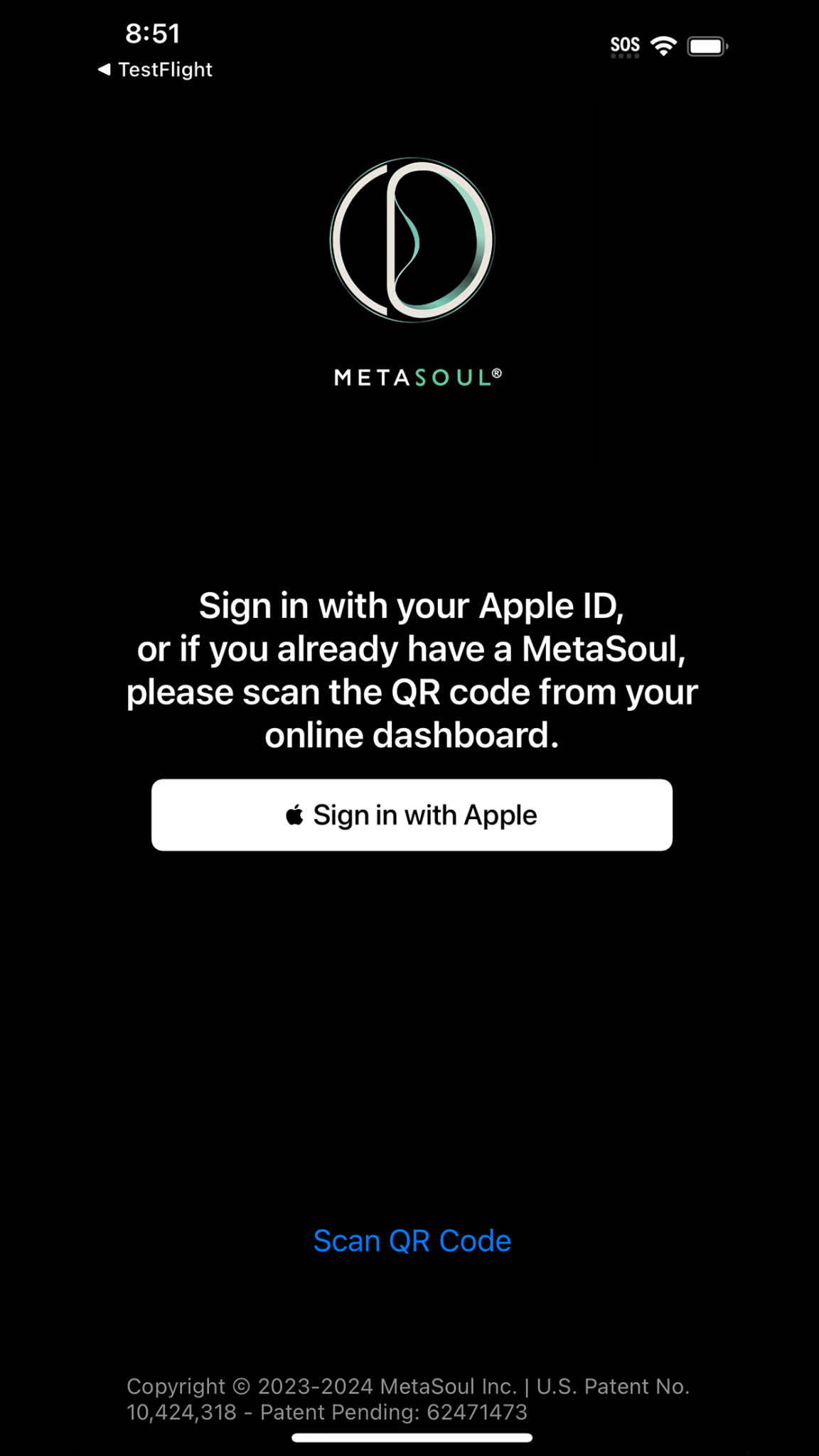 MetaSoul sign-in screen on iPhone